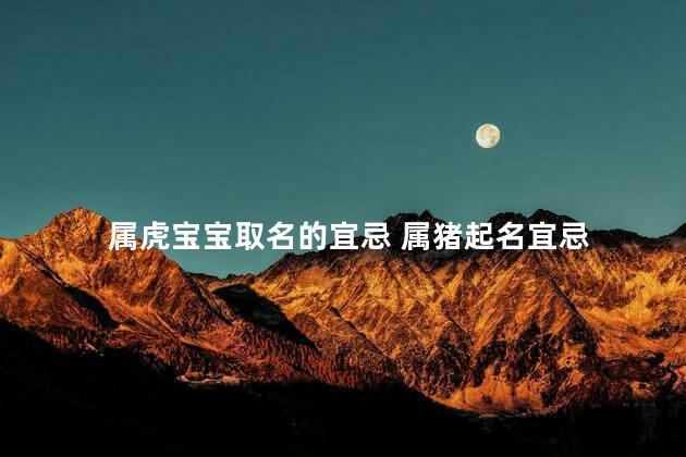 属虎宝宝取名的宜忌 属猪起名宜忌